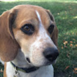 Meet your Posher, Melanie